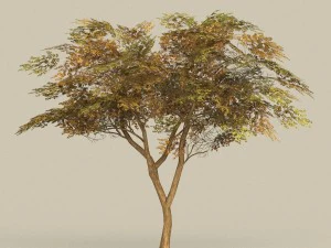 game ready tree 18 3D Model