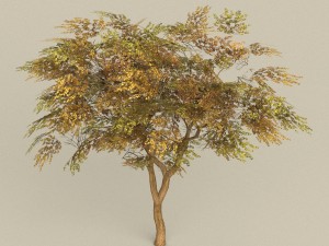 game ready tree 18 Modèle 3D