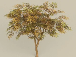 game ready tree 18 3D Model