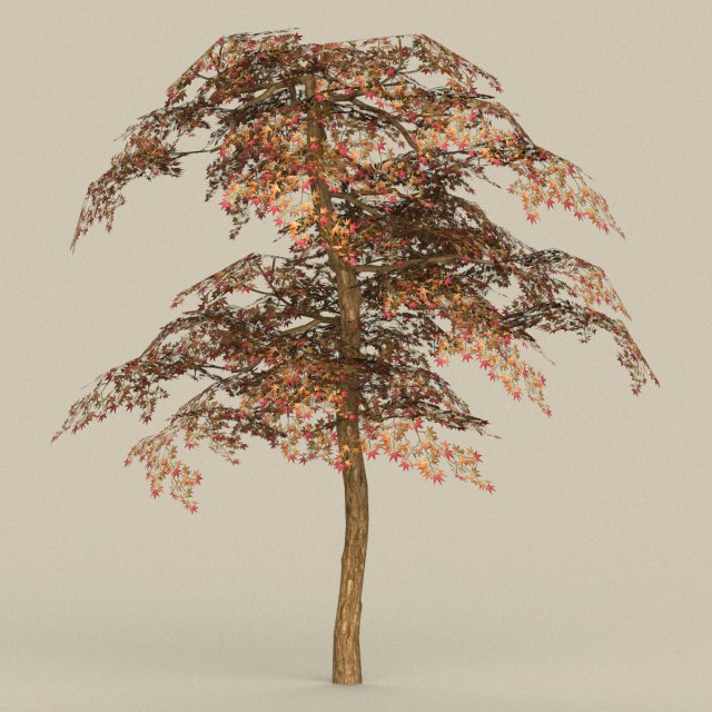 game ready tree 19 Modelo 3D .c4d .max .obj .3ds .fbx .stl .blend 