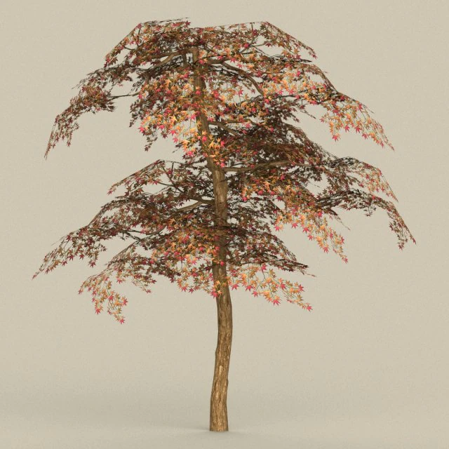 oyuna hazır ağa&ccedil; 19 3D Model .c4d .max .obj .3ds .fbx .stl .blend 