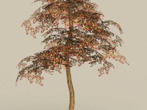 oyuna hazır ağa&ccedil; 19 3D Model