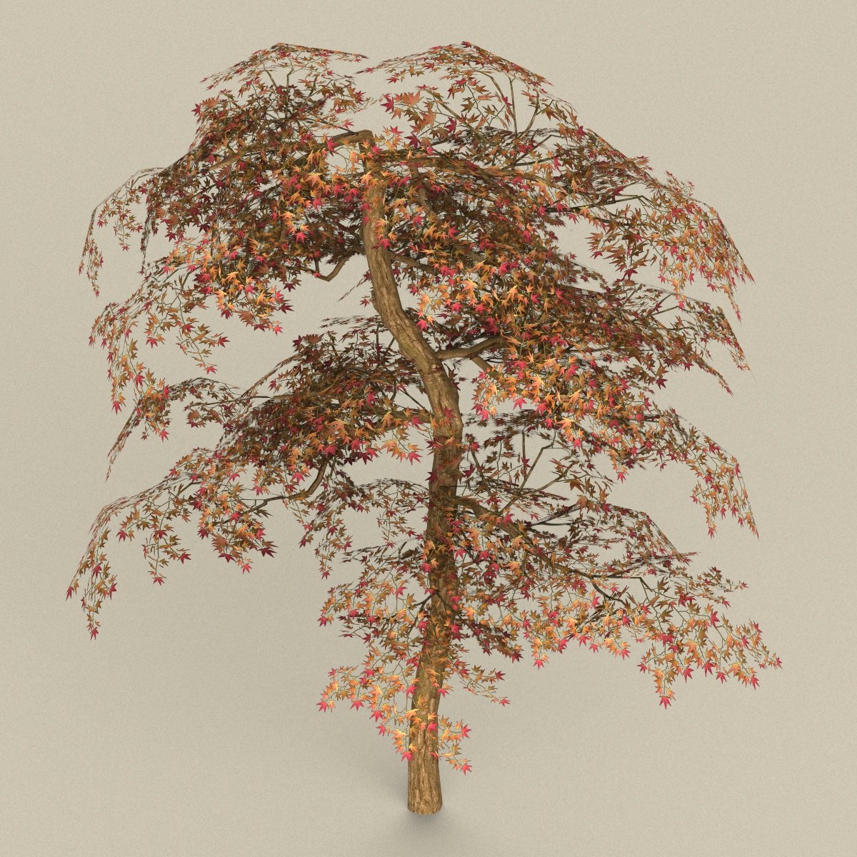 Дерево 19. Дерево 3д модель. Деревья в Maya. 3д модель катальпа. Дерево украшение 3 д модель.