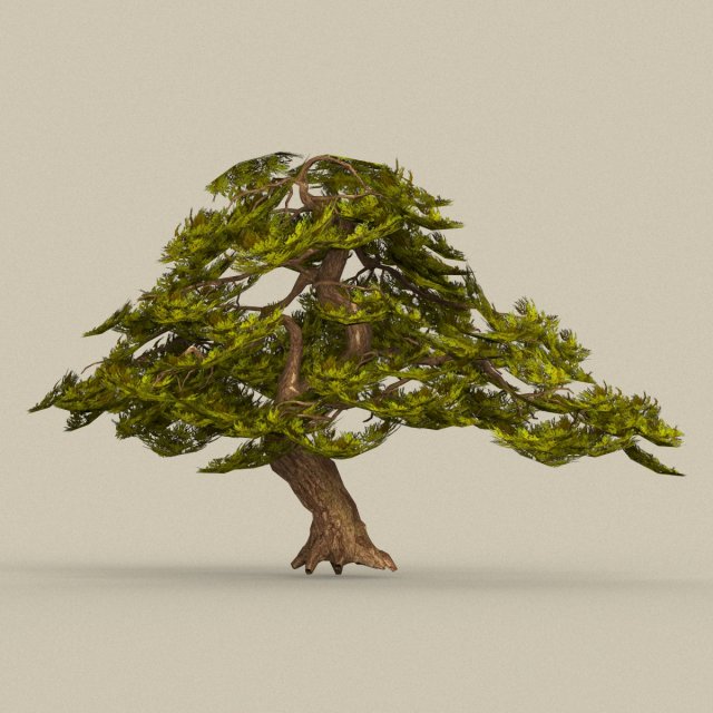 game ready tree 21 Modèle 3D .c4d .max .obj .3ds .fbx .stl .blend 