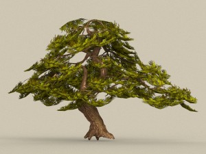 game ready tree 21 3D 모델