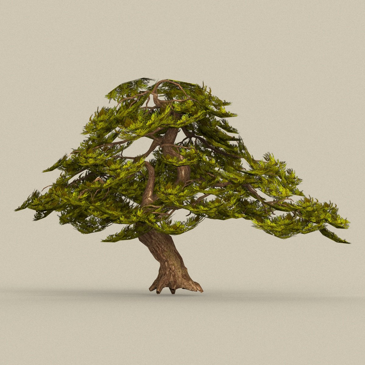 Карта дерева для 3d max