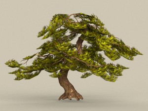 game ready tree 21 Modèle 3D