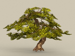 game ready tree 21 Modèle 3D