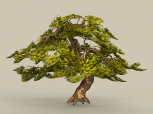 дерево готове до гри 21 3D Модель