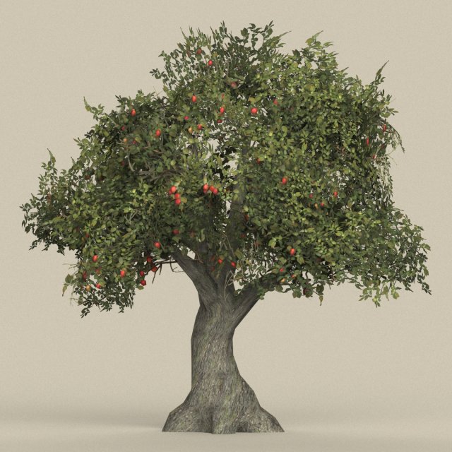 game ready tree 26 3D Model .c4d .max .obj .3ds .fbx .stl .blend 