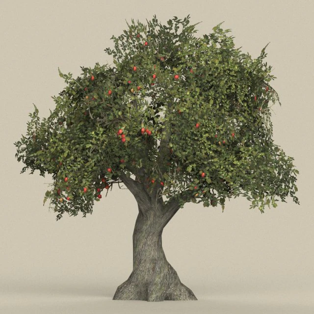 game ready tree 26 3D Model .c4d .max .obj .3ds .fbx .stl .blend 