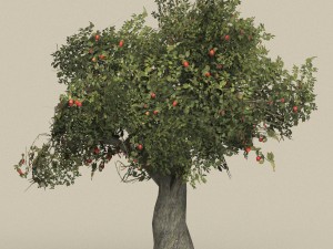 game ready tree 26 3D Model