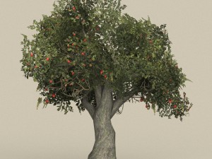 game ready tree 26 3D Model