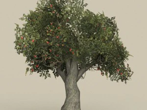 game ready tree 26 3D Model