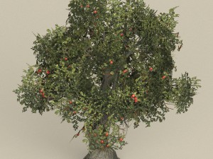 game ready tree 26 3D Model