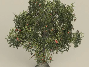 game ready tree 26 3D Model