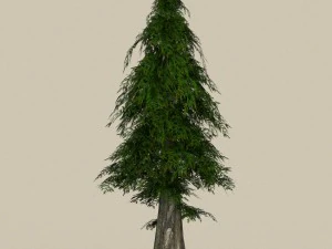 game ready tree 28 3D Model