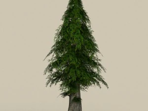 albero del gioco pronto 28 Modello 3D
