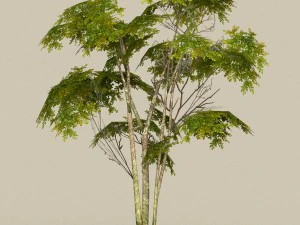 game ready tree 29 3D Model