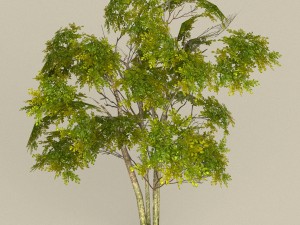 game ready tree 29 3D Model