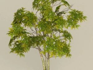 game ready tree 29 3D Model