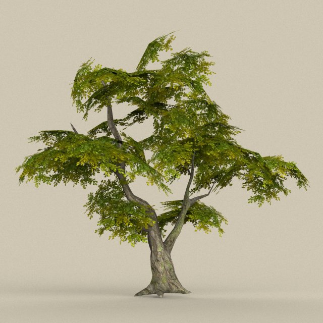 game ready tree 30 3D Model .c4d .max .obj .3ds .fbx .stl .blend 