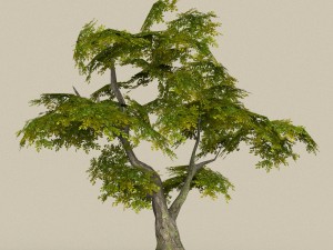 game ready tree 30 3D मॉडल