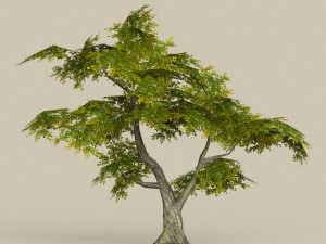 game ready tree 30 3D Model