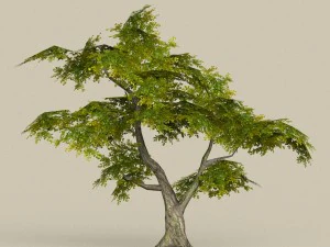 게임 준비 트리 30 3D 모델