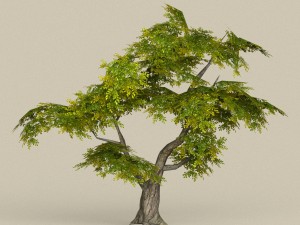 game ready tree 30 3D Model