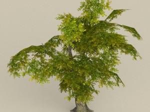 game ready tree 30 3D Model