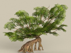 game ready tree 31 3D Model