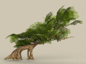 game ready tree 31 3D Model