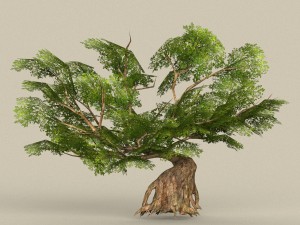 game ready tree 31 3D Модель
