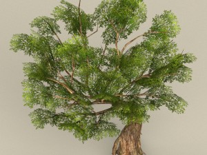 game ready tree 31 3D Модель