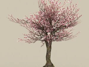 game ready tree 32 3D Model