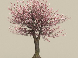 game ready tree 32 3D 模型
