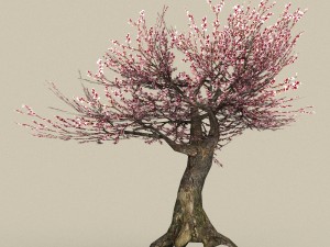 game ready tree 33 3D Model