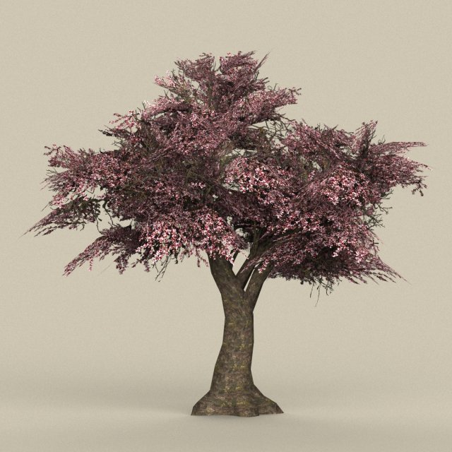 game ready tree 34 3D Model .c4d .max .obj .3ds .fbx .stl .blend 