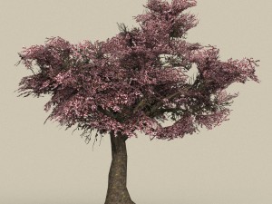 game ready tree 34 3D Model