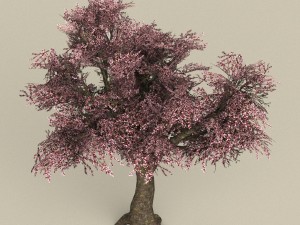 game ready tree 34 3D Model