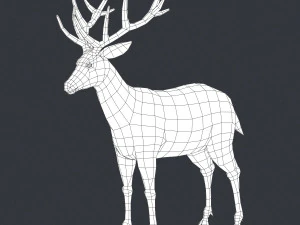 game ready realistic deer 3D Model