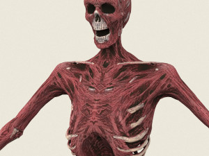 game ready dead man skeleton 3D Model