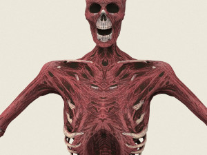 game ready dead man skeleton 3D Model