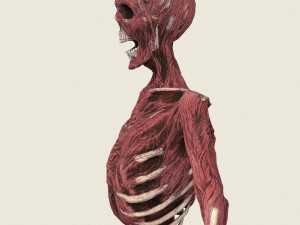 game ready dead man skeleton 3D Model