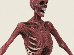 game ready dead man skeleton 3D Model