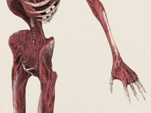 game ready dead man skeleton 3D Model
