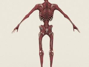 game ready dead man skeleton 3D Model