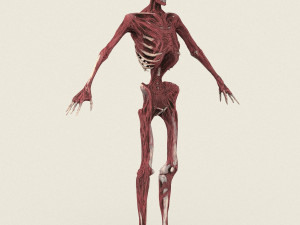 game ready dead man skeleton 3D Model