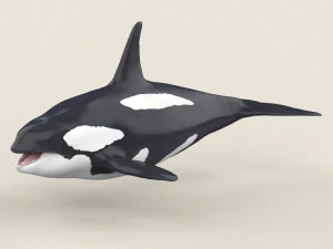 orka Model 3D